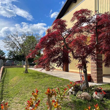 Vila Casa Giulia Monzambano Exteriér fotografie